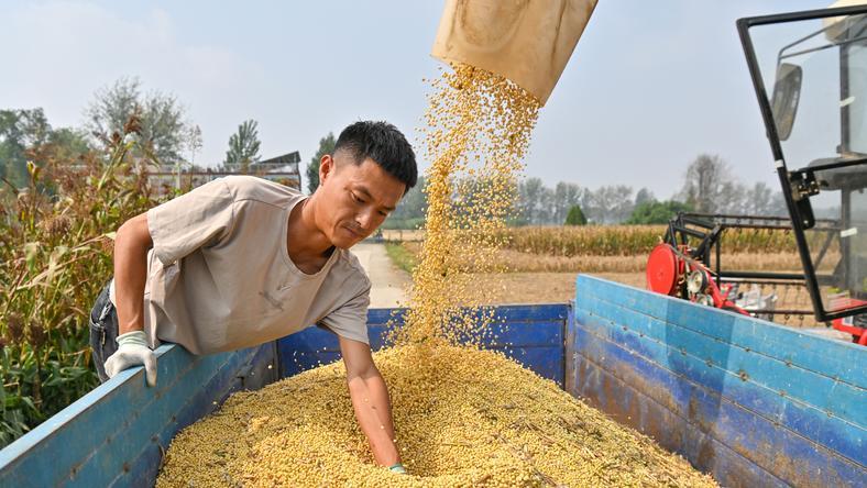 巴西取代美国成最大供应国,中国大豆够用了吗?